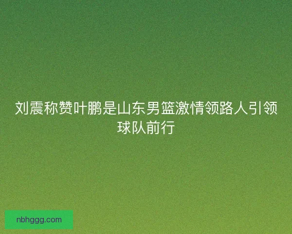 刘震称赞叶鹏是山东男篮激情领路人引领球队前行